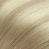 #RA16/PA16/1001 - Glazed Cream Puff: Rooted ash with piano ash and pearl blonde