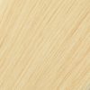 #24 - Honey Blonde